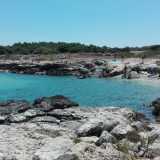 Proseguiamo a piedi per qualche metro ed ecco la costa. Siamo all�inizio dei due chilometri di �spiaggia alternativa�